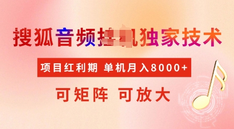 全网首发搜狐音频挂JI独家技术，项目红利期，可矩阵可放大，稳定月入8k【揭秘】-云泽轻创网