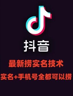 最新技术抖音捞实名+捞手机号技术，抖音直播封禁释放十名/手机号，直接替换出来!-云泽轻创网