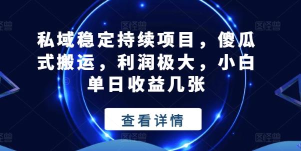 私域稳定持续项目，傻瓜式搬运，利润极大，小白单日收益几张【揭秘】-云泽轻创网