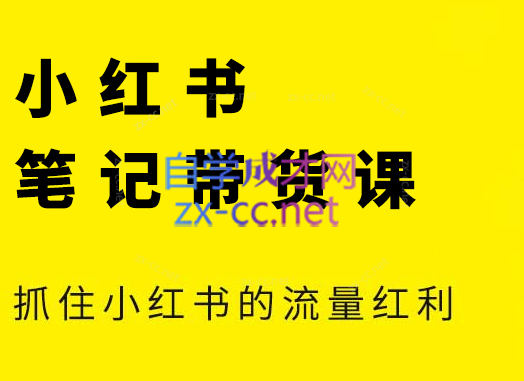 张宾·小红书笔记带货课(更新24年7月)-云泽轻创网