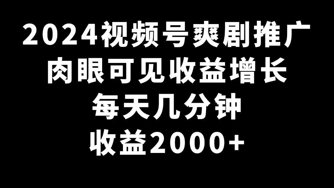 2024视频号爽剧推广，肉眼可见的收益增长，每天几分钟收益2000+-云泽轻创网
