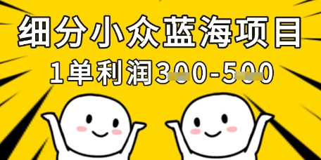 细分小众蓝海项目，一单利润3张，每月收入稳定过1w+-云泽轻创网