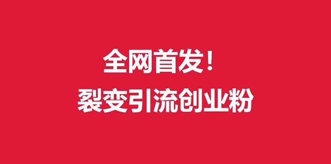 (全网首发)外面收费几千的裂变引流高质量创业粉-云泽轻创网