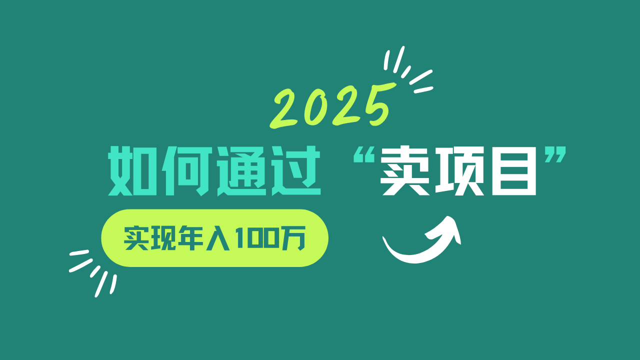 2025年如何通过“卖项目”实现年入100w-云泽轻创网