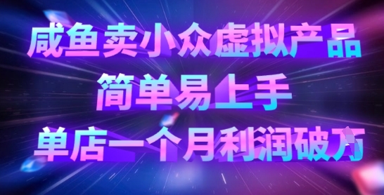 咸鱼卖小众虚拟产品，简单易上手，单店一个月利润破W-云泽轻创网