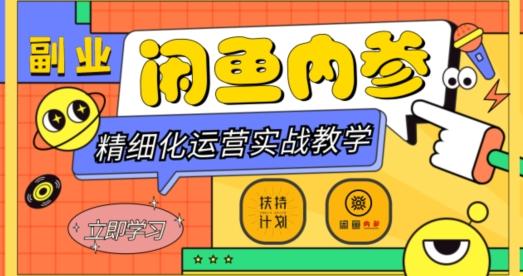 闲鱼精细化运营入门+高阶实战教学，从底层逻辑到轻松变现，多维度玩转闲鱼副业-云泽轻创网
