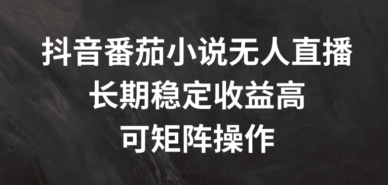 抖音番茄小说无人直播，长期稳定收益高，可矩阵操作【揭秘】-云泽轻创网