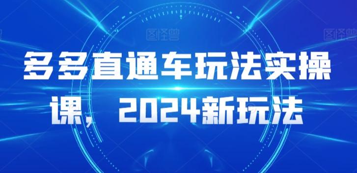多多直通车玩法实操课，2024新玩法-云泽轻创网