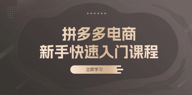 拼多多电商新手快速入门课程：涵盖基础、实战与选款，助力小白轻松上手-云泽轻创网
