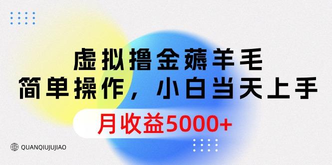 (9864期)虚拟撸金薅羊毛，简单操作，小白当天上手，月收益5000+-云泽轻创网