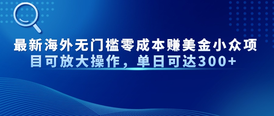 最新海外无门槛零成本赚美金小众项目可放大操作，单日可达300+-云泽轻创网