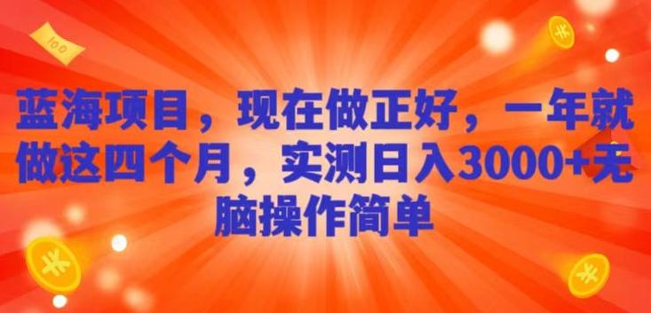 蓝海项目，现在做正好，一年就做这4个月，实测日入3000+，无脑简单操作-云泽轻创网
