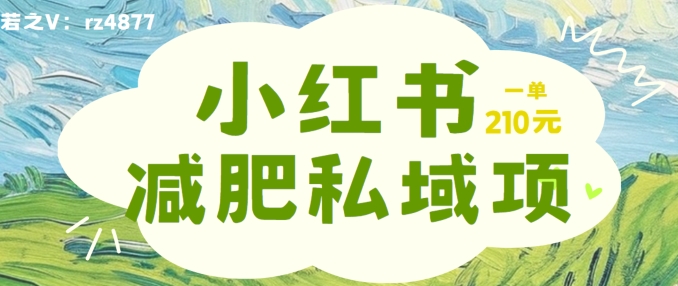 小红书减肥粉,私域变现项目,一单就达210元,小白也能轻松上手【揭秘】