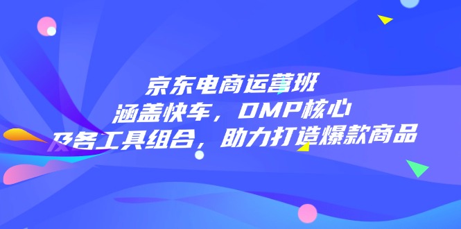 京东电商运营班：涵盖快车，DMP核心及各工具组合，助力打造爆款商品-云泽轻创网