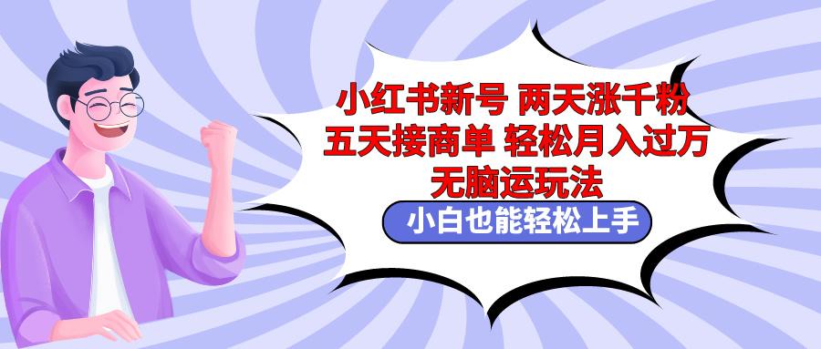 小红书新号两天涨千粉五天接商单轻松月入过万 无脑搬运玩法 小白也能轻…-云泽轻创网