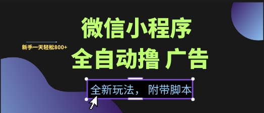 微信小程序全自动撸广告项目，彻底解决没流量的问题，新手一天8张+【揭秘】-云泽轻创网
