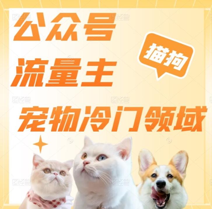 公众号流量主，萌宠冷门领域，单日收益2000+，简单暴力掘金，矩阵操作，无限放大收益！-云泽轻创网