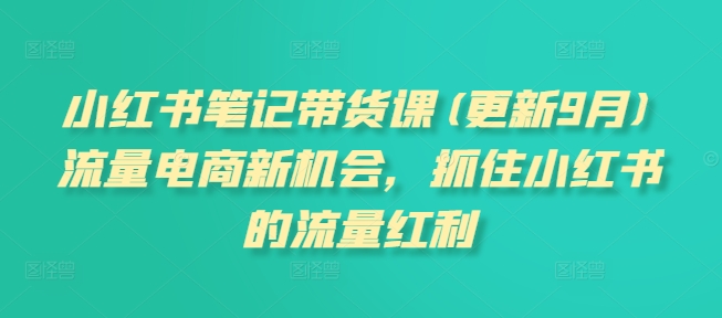 小红书笔记带货课(更新25年4月)流量电商新机会，抓住小红书的流量红利-云泽轻创网