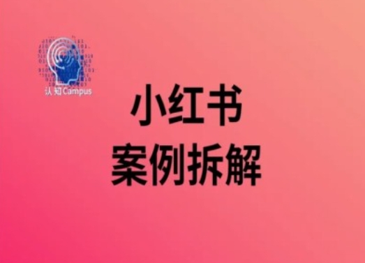 小红书案例拆解，深度解读小红书40万粉-云泽轻创网