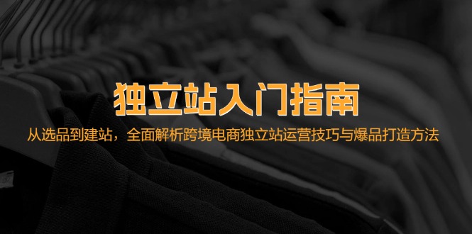 独立站入门指南：从选品到建站，全面解析跨境电商独立站运营技巧与爆品…-云泽轻创网