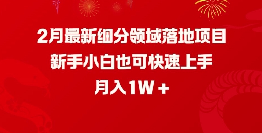 2月最新细分领域落地项目，新手小白也可快速上手，月入1W-云泽轻创网