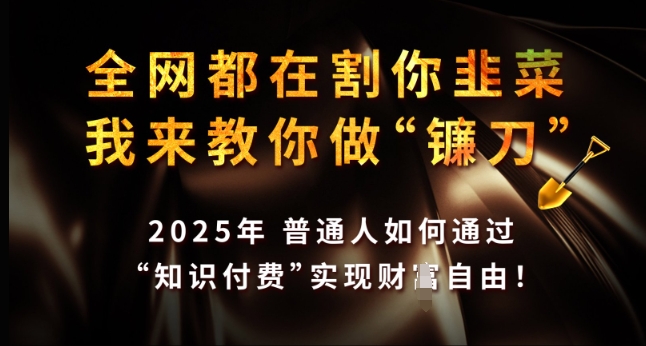 全网都在割你韭菜，我来教你做镰刀，2025年普通人如何通过 知识付费 实现财F自由【揭秘】-云泽轻创网
