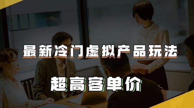 最新冷门虚拟产品玩法，超高客单价，月入2-3万＋【揭秘】-云泽轻创网