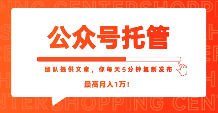 【公众号托管 】我提供文章，你每天５分钟复制发布，最高月入1W-云泽轻创网