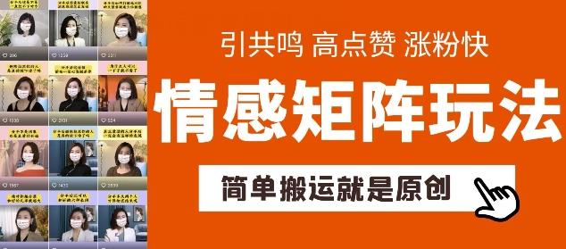 简单搬运，情感矩阵玩法，涨粉速度快，可带货，可起号【揭秘】-云泽轻创网