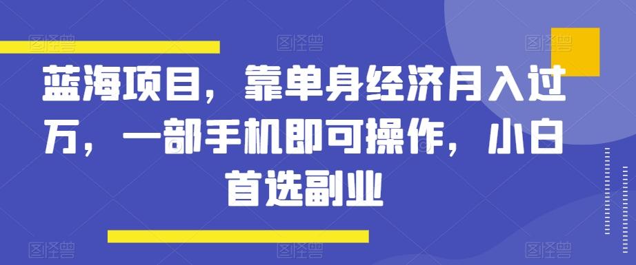 蓝海项目，靠单身经济月入过万，一部手机即可操作，小白首选副业【揭秘】-云泽轻创网