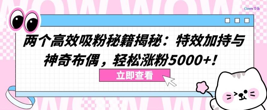 两个高效吸粉秘籍揭秘：特效加持与神奇布偶，轻松涨粉5000+【揭秘】-云泽轻创网