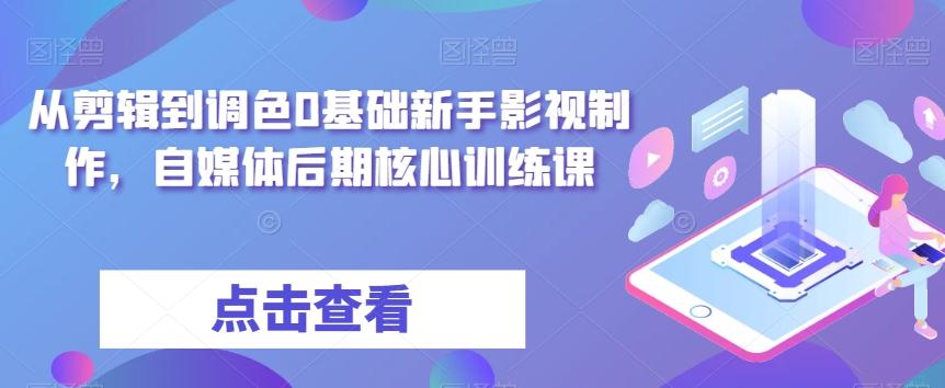 从剪辑到调色0基础新手影视制作，自媒体后期核心训练课-云泽轻创网