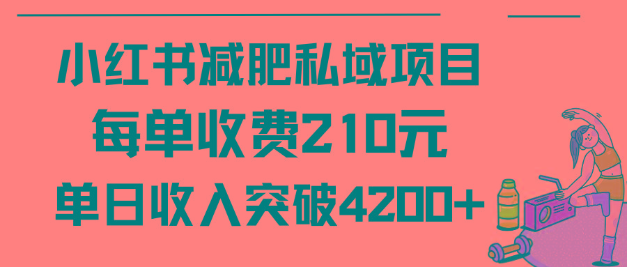 (9466期)小红书减肥私域项目每单收费210元单日成交20单，最高日入4200+-云泽轻创网