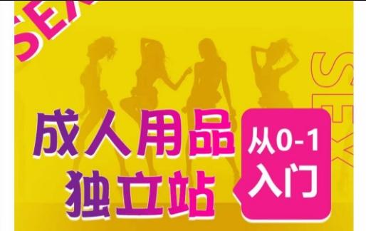 成人用品独立站从0-1入门，成品独立站运营全流程教学，七大好卖成品独立站推荐-云泽轻创网