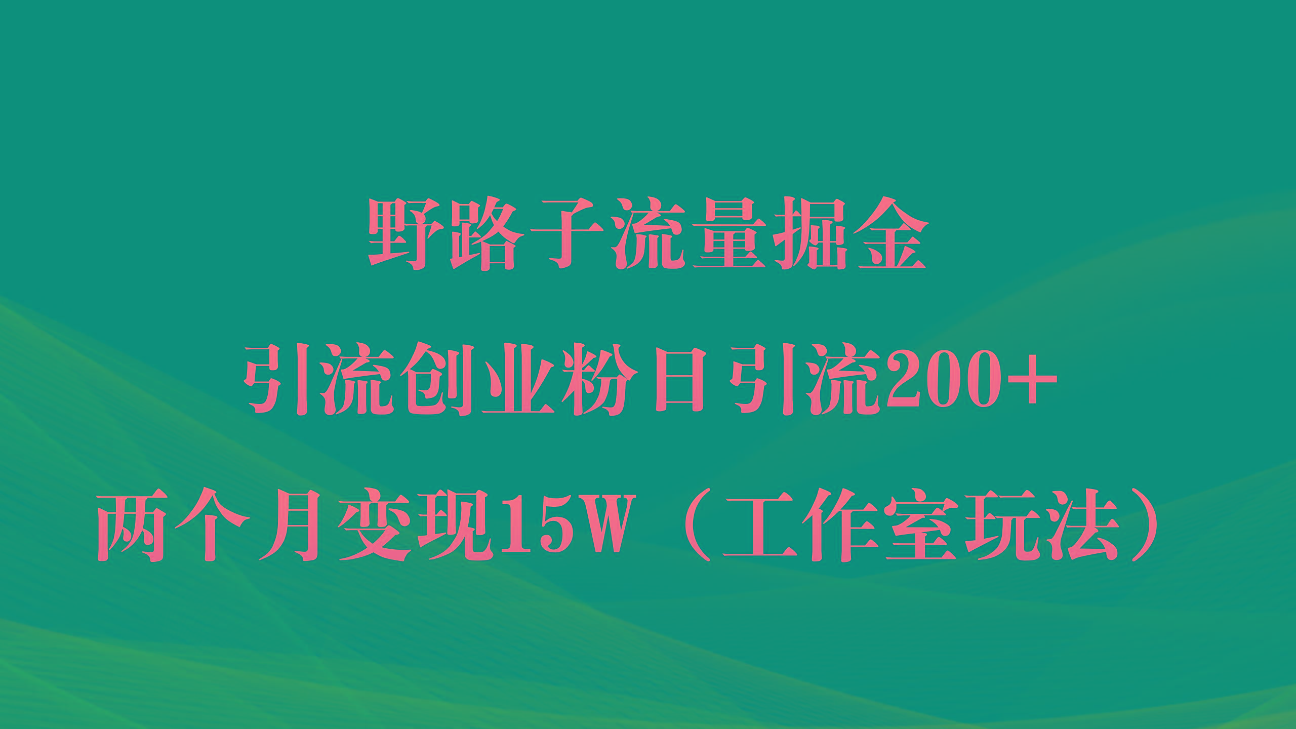 (9513期)野路子流量掘金，引流创业粉日引流200+，两个月变现15W(工作室玩法))-云泽轻创网