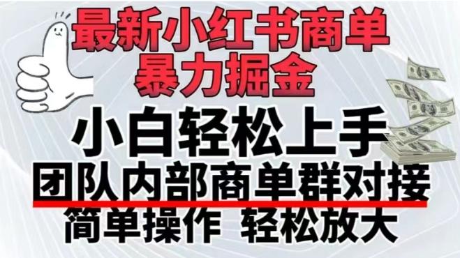 最新小红书商单，暴力掘金，单月稳定变现3W+-云泽轻创网