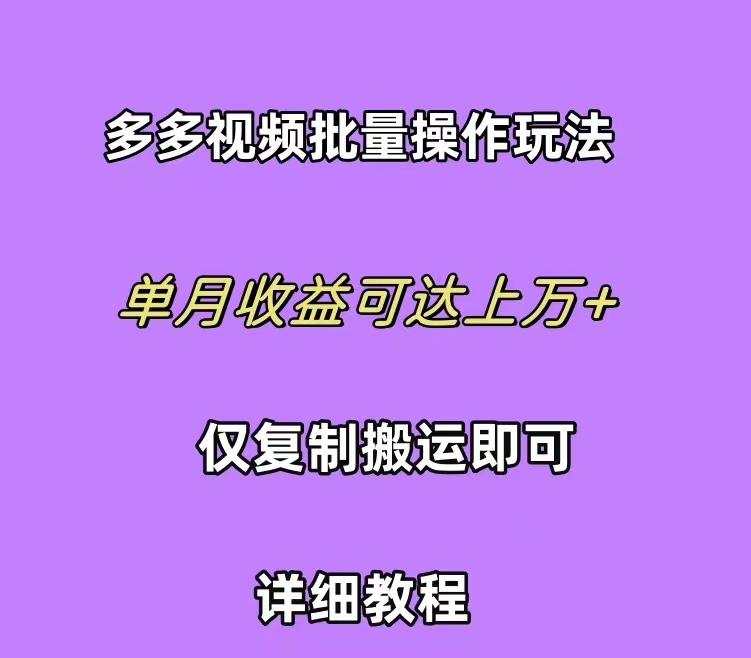 (10029期)拼多多视频带货快速过爆款选品教程 每天轻轻松松赚取三位数佣金 小白必…-云泽轻创网