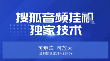 【搜狐音频挂G】独家技术，可矩阵可放大，红利期稳定月入8k【揭秘】-云泽轻创网