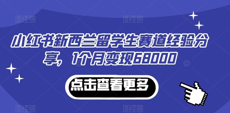 小红书新西兰留学生赛道经验分享，1个月变现68000【揭秘】-云泽轻创网