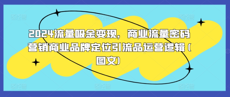 2024流量吸金变现，商业流量密码营销商业品牌定位引流品运营逻辑(图文)-云泽轻创网