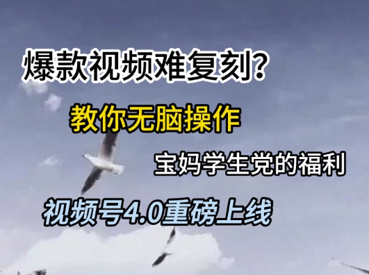 视频号4.0重磅上线，爆款视频难复刻？教你无脑操作宝妈学生党的福利【揭秘】-云泽轻创网
