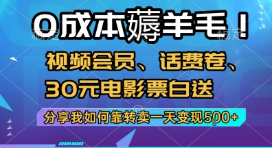0成本薅羊毛!视频会员、话费卷、30元电影票白送，分享我如何靠转卖一天变现5张+【揭秘】-云泽轻创网