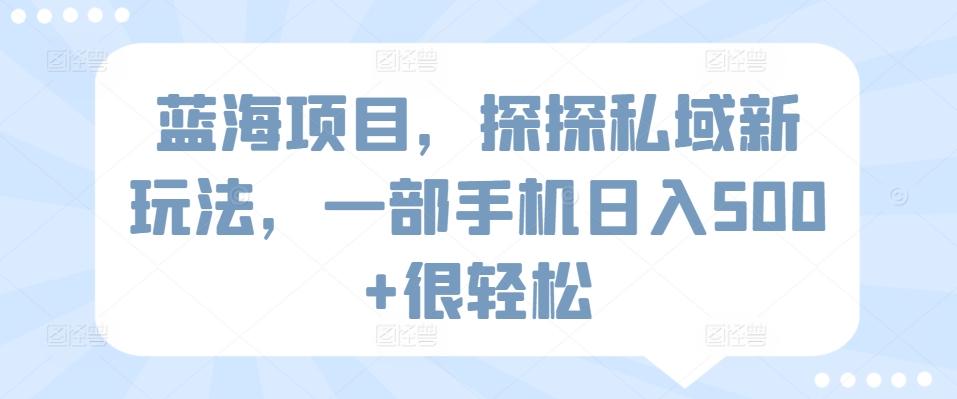 蓝海项目，探探私域新玩法，一部手机日入500+很轻松【揭秘】-云泽轻创网