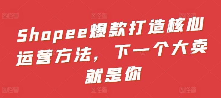 Shopee爆款打造核心运营方法，下一个大卖就是你-云泽轻创网