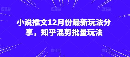 小说推文12月份最新玩法分享，知乎混剪批量玩法-云泽轻创网