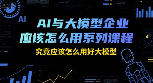 AI与大模型企业应该怎么用系列课程，究竟应该怎么用好大模型-云泽轻创网
