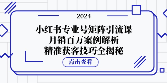 小红书专业号矩阵引流课，月销百万案例解析，精准获客技巧全揭秘-云泽轻创网