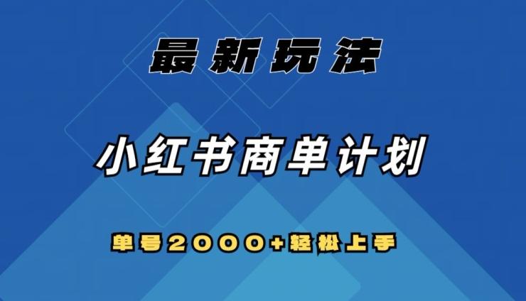 全网首发，小红书商单计划最新玩法，单号2000+可扩大可复制【揭秘】-云泽轻创网