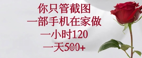 你只管截图，一部手机在家可以做，一小时120.一天5张+【揭秘】-云泽轻创网