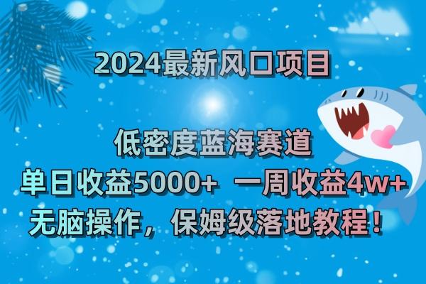 (8545期)2024最新风口项目 低密度蓝海赛道，日收益5000+周收益4w+ 无脑操作，保…-云泽轻创网